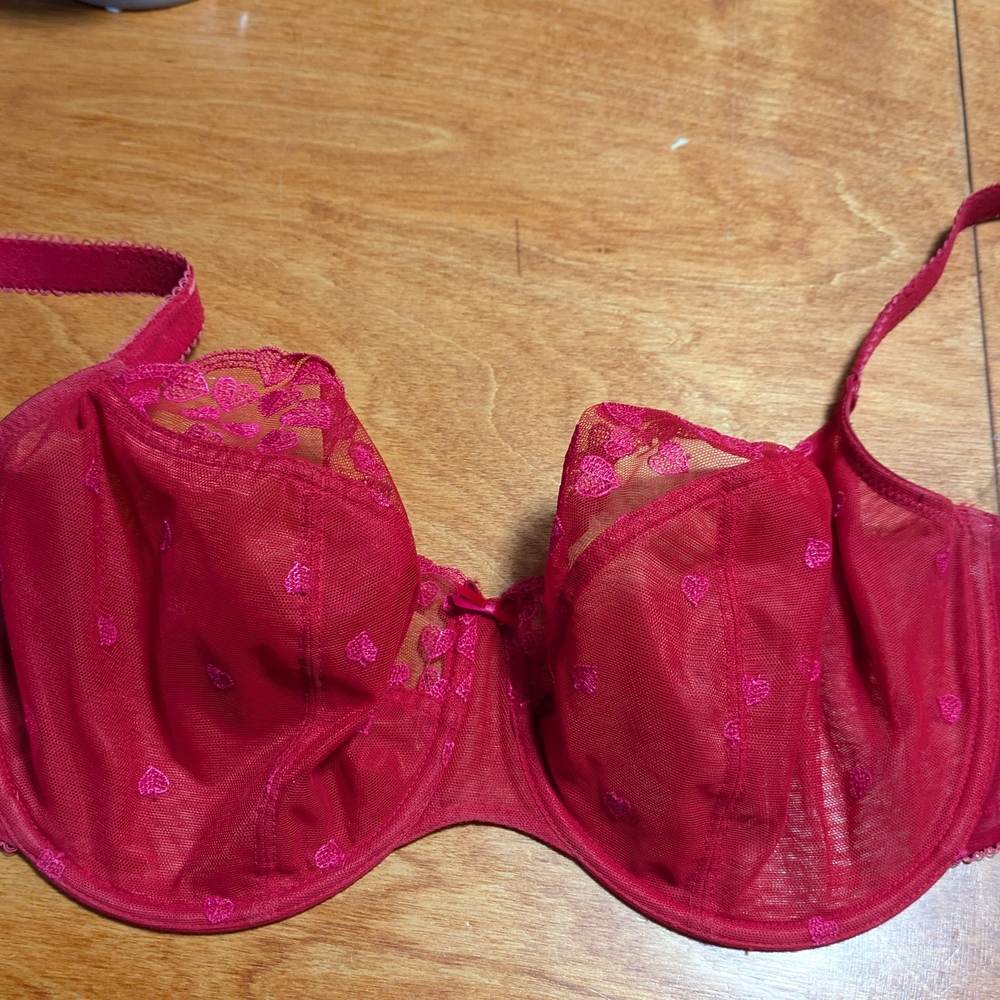 Elegant Red Lace Bra